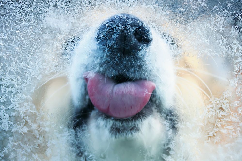 The Gossip Column: January 24, 2025